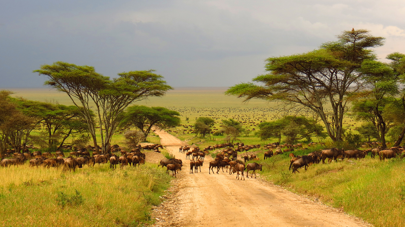 Mount Kilimanjaro Trekking